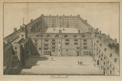 Vista aerea del Palazzo Bridewell da English School