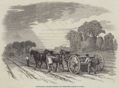 Quadri Agricoli, Semina e Erpicatura da English School