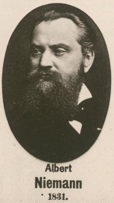 Albert Niemann da English School