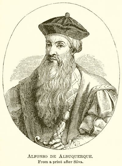 Alfonso de Albuquerque da English School