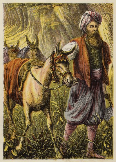 Ali Baba e i quaranta ladroni da English School