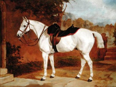 Ali, ritratto di un cavallo da English School