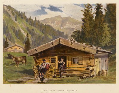 Stazione lattiero-casearia alpina in estate da English School