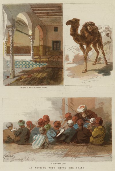 Tour di un artista tra gli arabi (incisione a colori) da English School