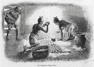 Un forno egizio per uova (incisione) da English School