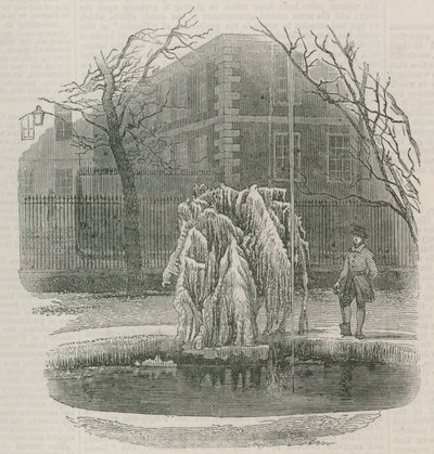 Un albero di ghiaccio nella Middle Temple da English School