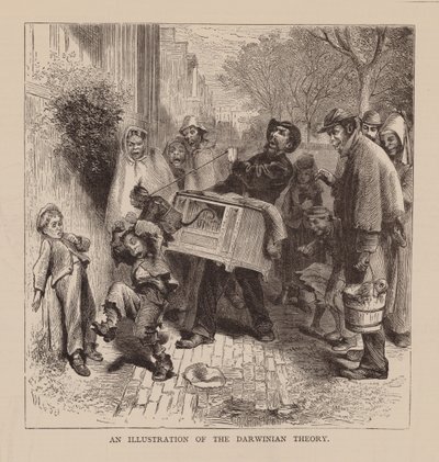 Illustrazione della teoria darwiniana (incisione) da English School