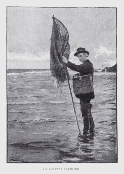 Un dilettante pescatore di gamberetti (litografia) da English School