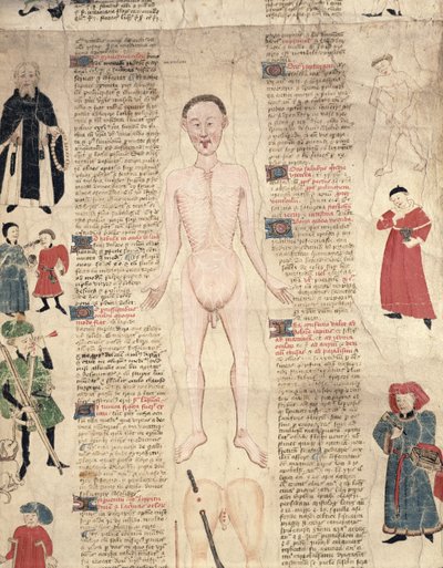 Diagramma anatomico, da De arte phisicali e de cirugia di John Ardene, 1412 da English School
