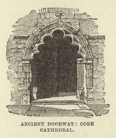 Antico portale, Cattedrale di Cork da English School