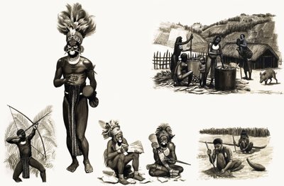 Popoli antichi del mondo: Tribù montane della Nuova Guinea -- Le piume degli uccelli sono la loro ricchezza da English School