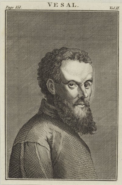 Andreas Vesalius da English School