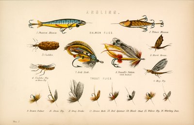 Pesca da English School