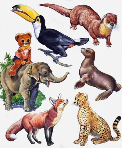 Montaggio di animali da English School