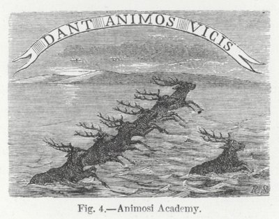 Accademia Animosi (incisione) da English School