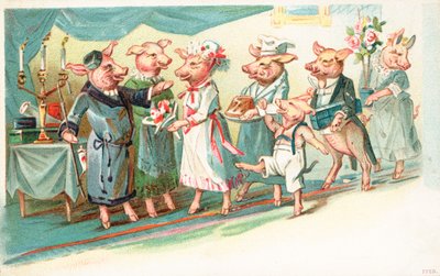 Maiali antropomorfi accolti all