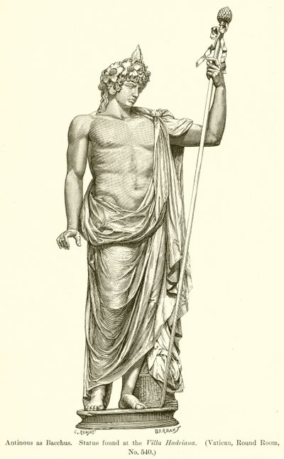 Antinoo come Bacco. Statua trovata alla Villa Adriana (Vaticano, Sala Rotonda, n. 540) da English School