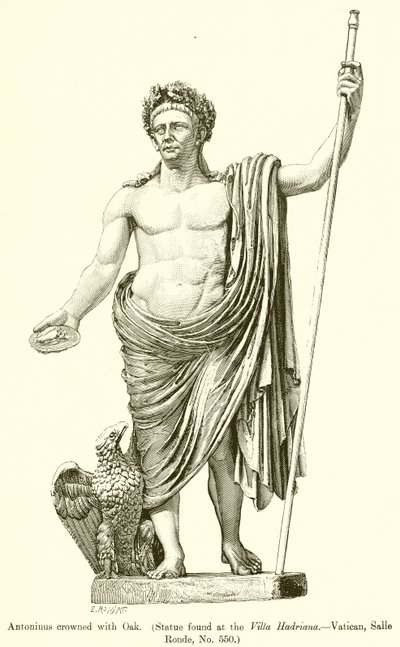 Antonino incoronato con quercia (Statua trovata alla Villa Adriana.--Vaticano, Sala Rotonda, No. 550) da English School