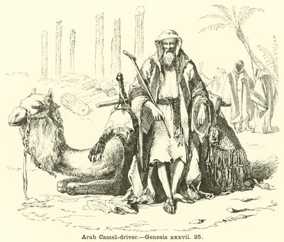 Conduttore di cammelli arabo, Genesi, xxxvii, 25 da English School