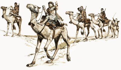 Arabi che attraversano il deserto sui cammelli da English School