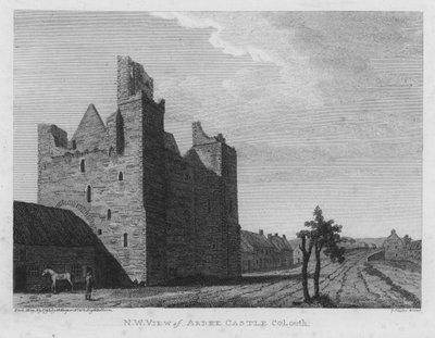 Castello di Ardee, Contea di Louth, Irlanda da English School