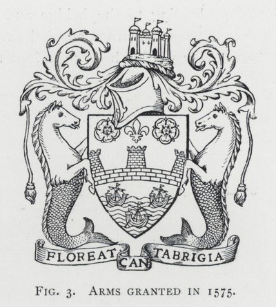 Stemma concesso nel 1575 da English School