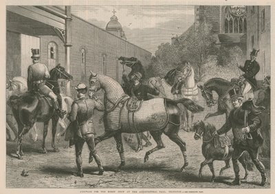 Arrivi per la Mostra del Cavallo alla Sala dell
