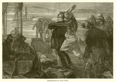 Assassinio di Lord Mayo (1872) da English School