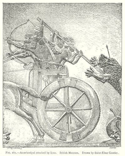 Assurbanipal attaccato dai leoni. British Museum (incisione) da English School