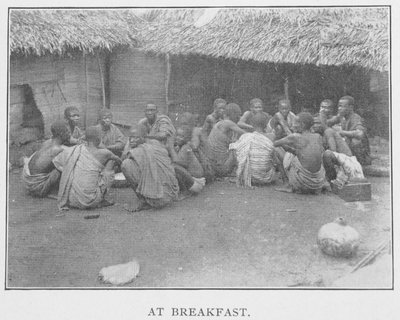 A colazione, illustrazione da 