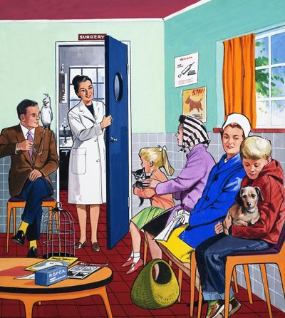 Dal veterinario da English School