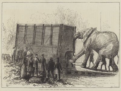 Tentativo di rimuovere Jumbo, il grande elefante, dai Giardini Zoologici (litografia) da English School