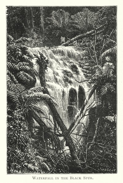 Australia: Cascata nel Black Spur da English School