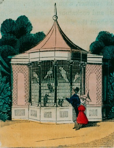 Voliera per pappagalli e cacatua allo zoo di Londra. 1840s da English School