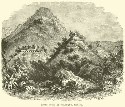 Rovine azteche a Palenque, Messico da English School