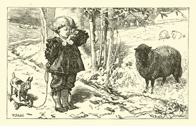 Baa, Baa, Pecora Nera da English School