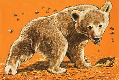 Cucciolo di orso bruno da English School