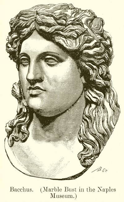 Bacco. (Busto in marmo del Museo di Napoli) (incisione) da English School