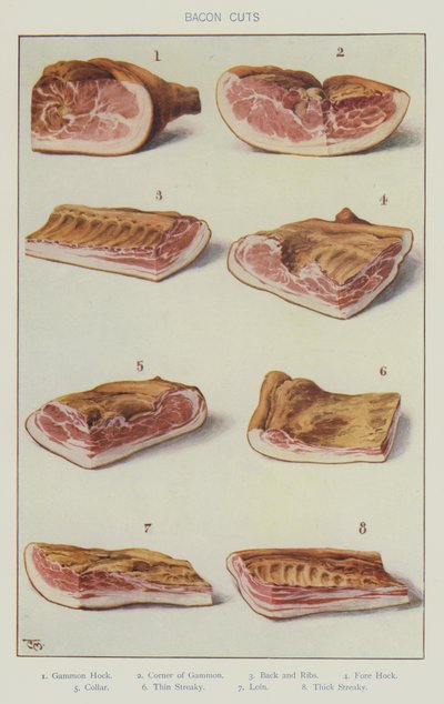 Tagli di pancetta da English School