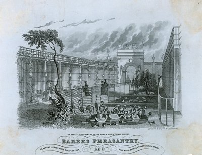 Bakers Pheasantry, Chelsea da English School