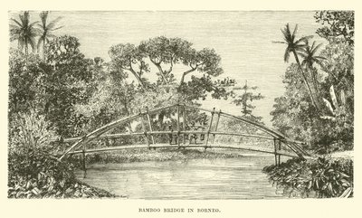 Ponte di bambù nel Borneo da English School