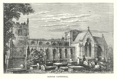 Cattedrale di Bangor (incisione) da English School