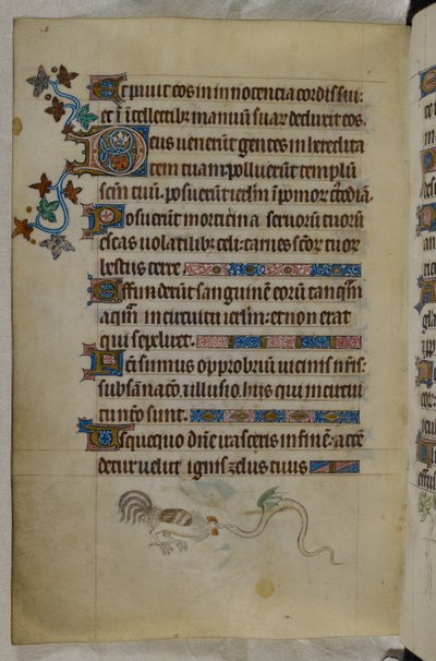 Scena di bas-de-page di un gallo e un serpente alato che combattono, con una lettera iniziale decorata 