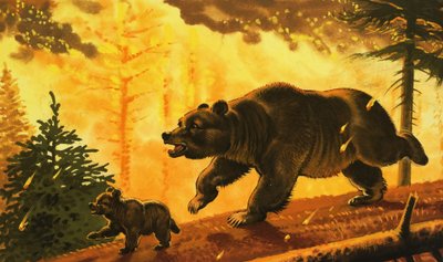 Orso e il suo cucciolo che fuggono dall