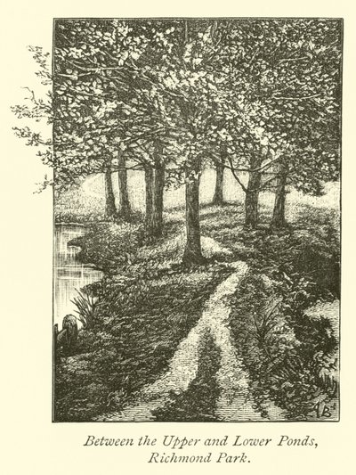 Tra i Laghetti Superiore e Inferiore, Richmond Park da English School