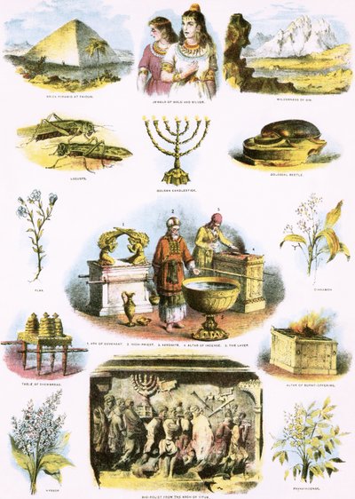Illustrazioni bibliche da English School