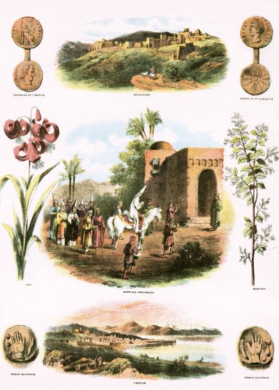Illustrazioni bibliche da English School