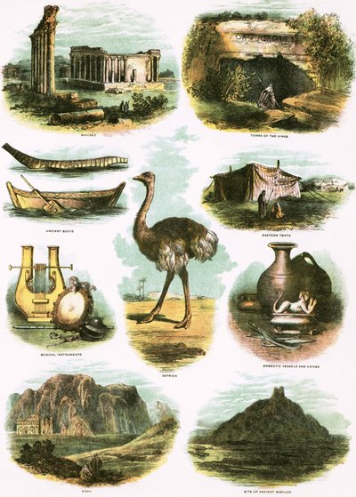 Illustrazioni bibliche da English School