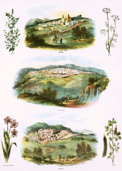 Illustrazioni bibliche da English School