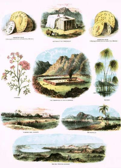 Illustrazioni bibliche da English School